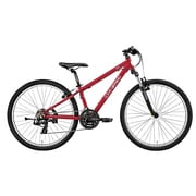 子ども用自転車 LGS-J26 320mm 26型 外装21段変速（フロント3段×リア7段） LGレッド 15LG-J26-05