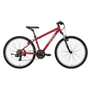 子ども用自転車 LGS-J26 370mm 26型 外装21段変速（フロント3段×リア7段） LGレッド 15LG-J26-06