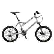 小径車(ミニベロ) LGS-MV 5 410mm 20型 外装20段変速(フロント2段×リア10段) マットッステルスグレー 15LG-M5-02