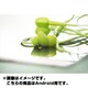 カナル型イヤフォン earpods（イヤーポッズ） for Android. etc グリーン IBP-EPAGRN
