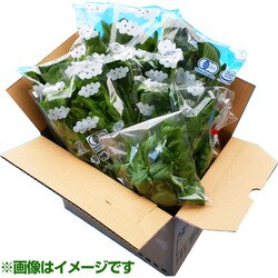 ヨドバシ.com - ヴァレンチア 有機農法で作った野菜セット(小松菜、ルッコラ、ほうれん草など旬の野菜) [茨城県産 有機野菜1,980円セット]  通販【全品無料配達】