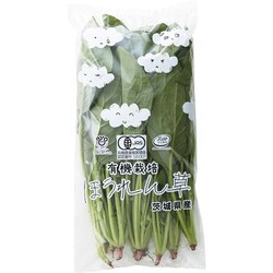 ヨドバシ.com - ヴァレンチア 有機農法で作った野菜セット(小松菜、ルッコラ、ほうれん草など旬の野菜) [茨城県産 有機野菜1,980円セット]  通販【全品無料配達】