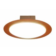 LED小型シーリング 昼白色 CE-1004NA
