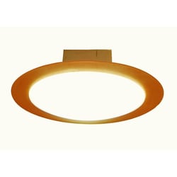 LED小型シーリング 電球色 CE-1005NA