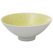 有田焼 匠の蔵 口福なお茶漬け碗シリーズ 碗 大 玉姫 T7041