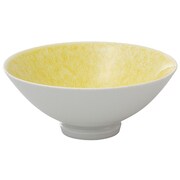 有田焼 匠の蔵 口福なお茶漬け碗シリーズ 碗 小 玉姫 T7042