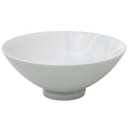 有田焼 匠の蔵 口福なお茶漬け碗シリーズ 碗 大 雪梅 T7101