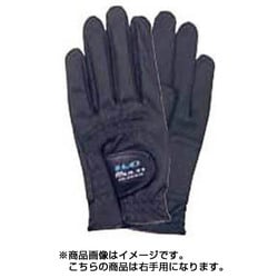 ヨドバシ.com - ライト LITE B-164 マルチグローブ [メンズ 右用