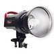 ストロボライティング PF フレックスフラッシュ 200W