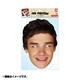 Liam Payne One Direction Mask [パーティマスク]