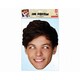 Louis Tomlinson One Direction Mask [パーティマスク]