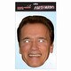 Arnold Schwarzenegger Mask [パーティマスク]