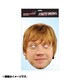 Rupert Grint Mask [パーティマスク]