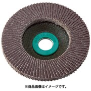 TGP10015A100100P [GPトップ アランダム Φ100 #100 100枚入り]
