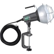 RXL5W [42W LED作業灯 100V 42W 5m 電線付き]