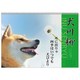1000055380 [2015年 犬川柳カレンダー No.001]