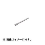 BG16SD [ビックワン専用打込棒(機械式SDS)]