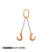 2MFFYN10 [チェーンスリング100 アイタイプ]