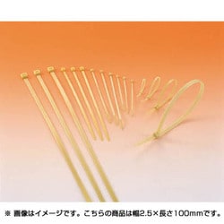 T18R100 [ヘラマンタイトン MSタイ 幅2.5×長さ100mm 100本入]