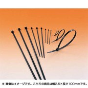 T18RW1000 [ヘラマンタイトン MSタイ 幅2.5×長さ100mm 1000本入]