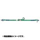 R50LWI50G617 [オールセーフ ラチェットバックルR50LW シボリシヨウ ベルト50G6]