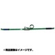R5DS16 [オールセーフ エアラインレールヨウラチェットシキラッシングベルト DS]