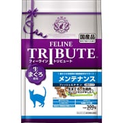 フィッシュ&チキン メンテナンス 300g