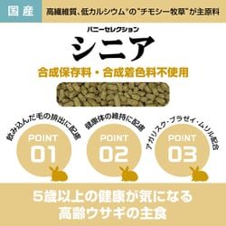 楽天市場】イースター バニーセレクション スーパーシニア 1