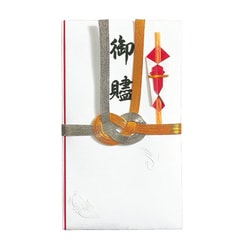 祝金封 金銀10本結切 御贐 キ-SE31