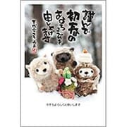 未年 お年玉付年賀ハガキ3枚 特選パック フォトデザイン1 PA452