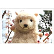 未年 お年玉付年賀ハガキ3枚 特選パック フォトデザイン1 PA453