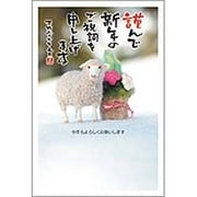 未年 お年玉付年賀ハガキ3枚 特選パック フォトデザイン1 PA454