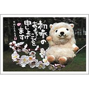 未年 お年玉付年賀ハガキ3枚 特選パック フォトデザイン2 PB455