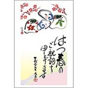 未年 お年玉付年賀ハガキ5枚 スタンダードカラー5 TE620