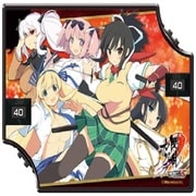 デュアルカウンター 閃乱カグラ 国立半蔵学院 [トレーディングカード用品]