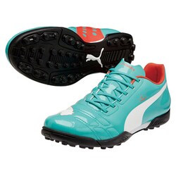 ヨドバシ.com - プーマ PUMA エヴォパワー4 TT 06 26.5cm [102955-06