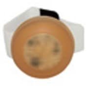LGS MUFFIN LIGHT LEDライト クリーム LT-LGS-019