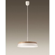 LEDペンダントライト DXL-81173