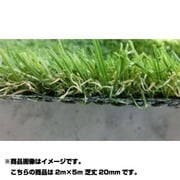 ハイグレード人工芝 LEGEND(レジェンド) 2m×5m 芝丈20mm LD20-0205