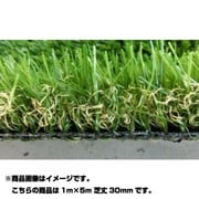 ハイグレード人工芝 LEGEND(レジェンド) 1m×5m 芝丈30mm LD30-0105