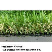 ハイグレード人工芝 LEGEND(レジェンド) 1m×10m 芝丈30mm LD30-0110