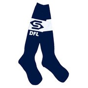 SJ0442 [ソックス うんのよさ＋2 F 21]