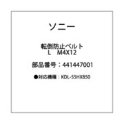 BAG/FALL/LOCKBELT/L/M4X12 441447001