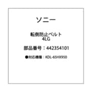 BAG/RUDDERLOCK/4LG 442354101