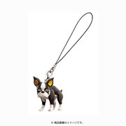 TVアニメ ジョジョの奇妙な冒険 スーパーストラップコレクション イギー A [カニカン付彩色済みマスコットフィギュア]
