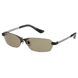 ヨドバシ.com - ZEAL OPTICS ジールオプティクス F-993