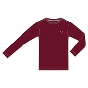 831230-02-M [長袖Ｔシャツ P.S.T.D.Cat LS Tee メンズ M バイキング レッド]
