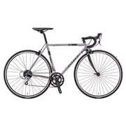 ロードバイク 56cm 700×25C 外装16段変速(フロント2段×リア8段) シルバーシャイン AYIT565 OS60