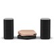 Stellanova（ステラノヴァ） USB DAC アンプ（ゴールド）・ワイヤレスユニット（ブラック）・スピーカーセット ハイレゾ音源対応 APS-S301JGLBK/XV15