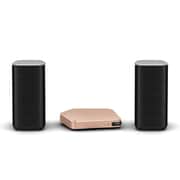 Stellanova(ステラノヴァ) USB DAC アンプ(ゴールド)・スピーカーセット ハイレゾ音源対応 APS-S201JGL/XV15